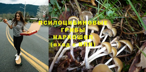 герыч Алексин