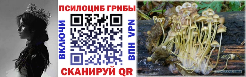 цены   Котлас  Галлюциногенные грибы MAGIC MUSHROOMS 