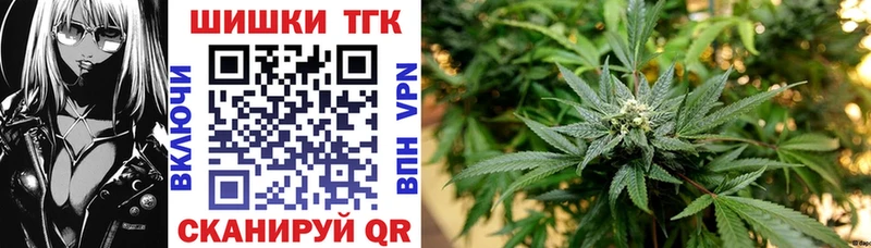 сколько стоит  Котлас  Шишки марихуана сатива 